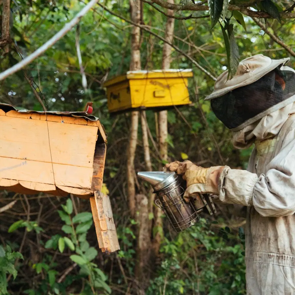 bees